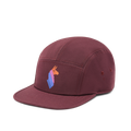 Llama Stripes 5-Panel Hat