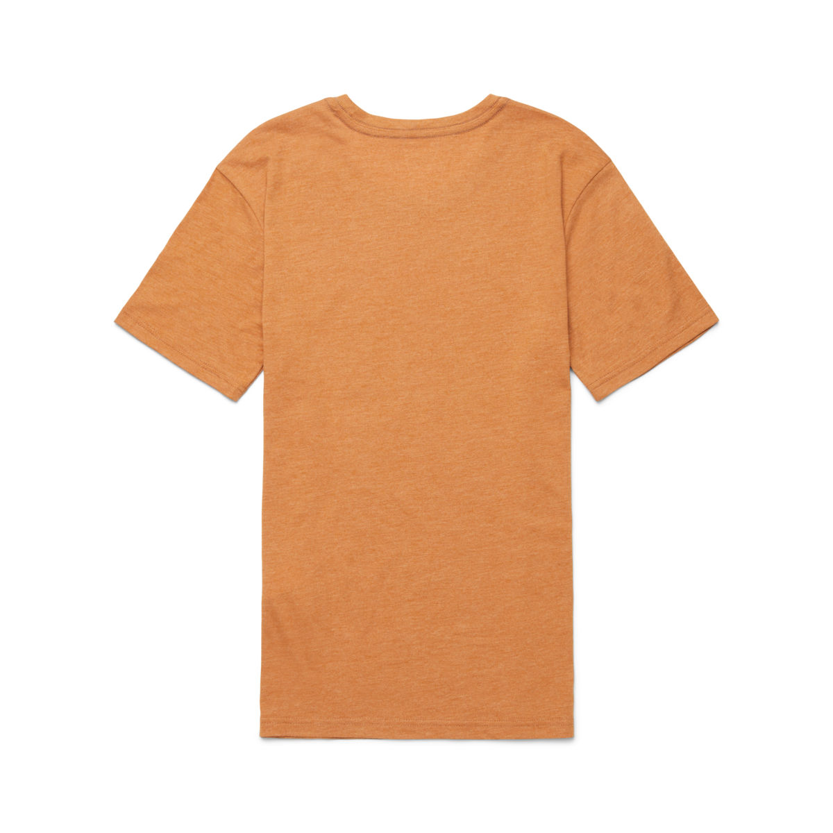 Traveling Llama T-Shirt - Women's
