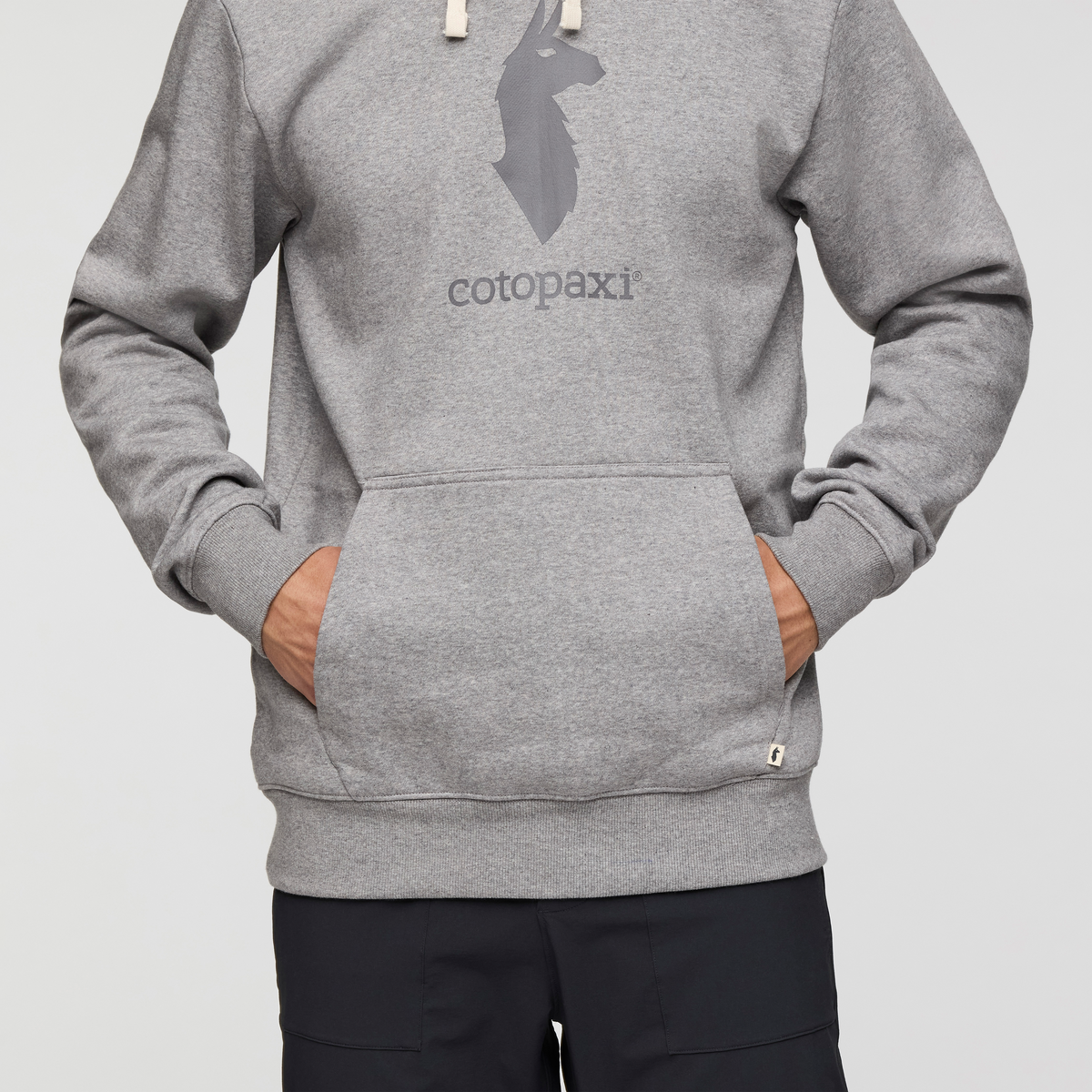 Cotopaxi Llama Pullover Hoodie - Men's