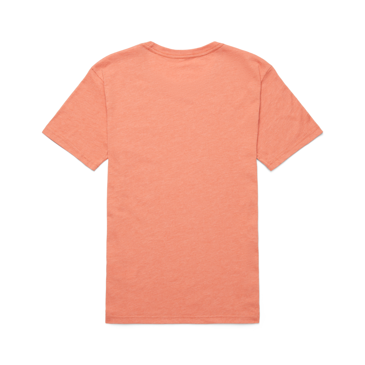 Topo Llama T-Shirt - Women's